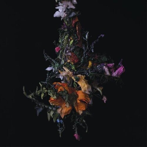 

Виниловая пластинка Big/Brave - Nature Morte