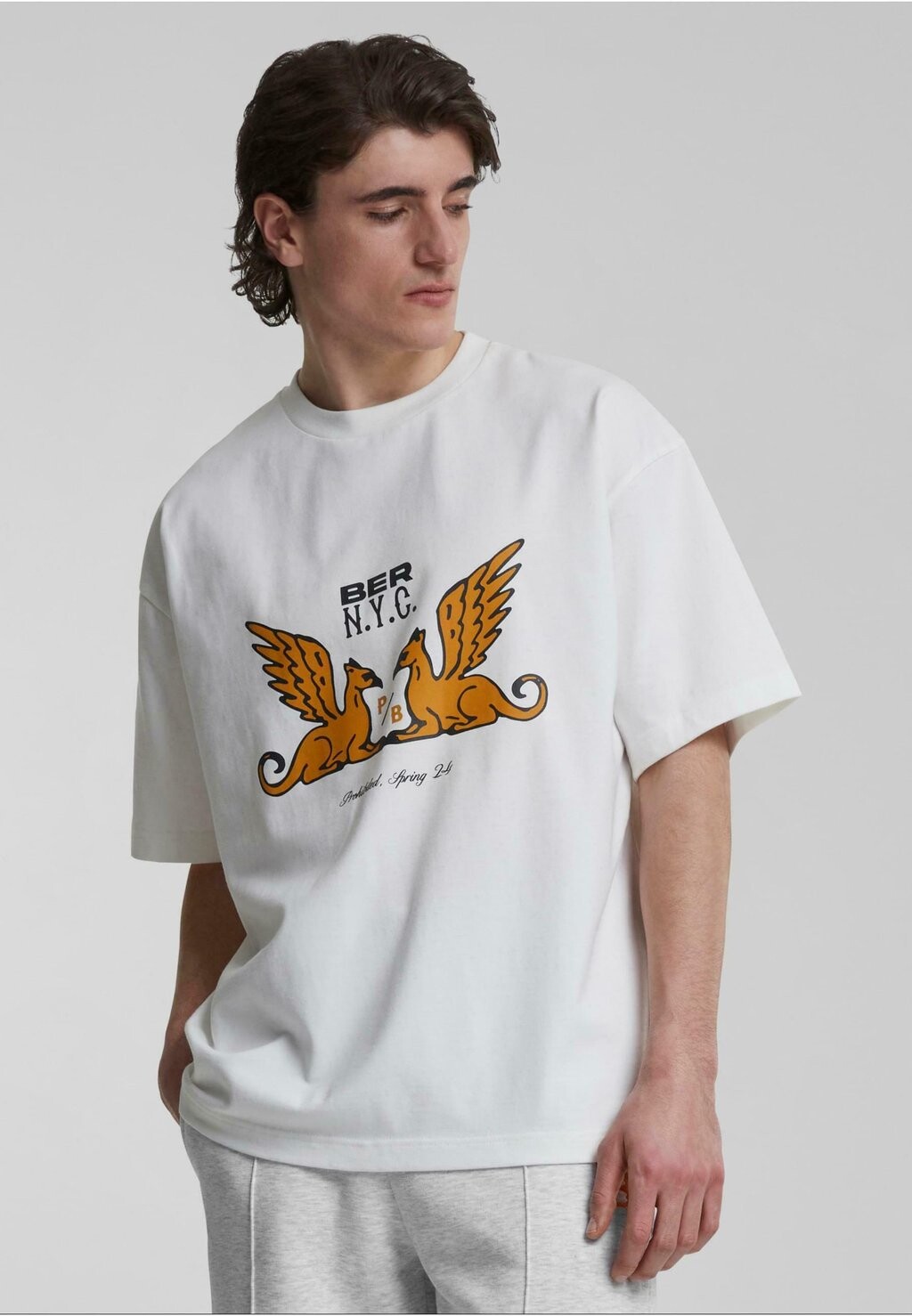 

Футболка с принтом GRIFFIN TEE PROHIBITED, белый