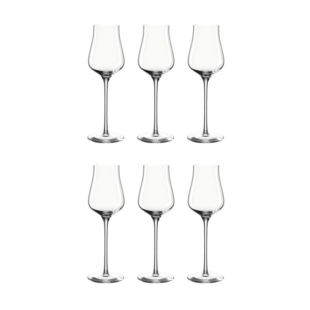 

LEONARDO 066413 Стакан для граппы Brunelli, 210 мл, стекло Teqton, прозрачное (6 шт. в упаковке), прозрачный