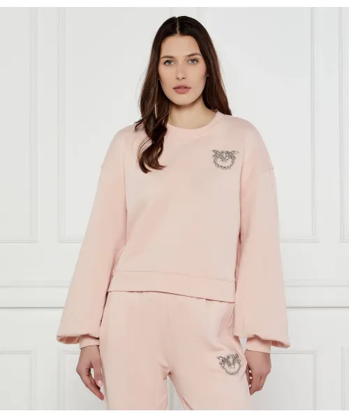 

Толстовка с зерновыми Relaxed fit Pinko, розовый