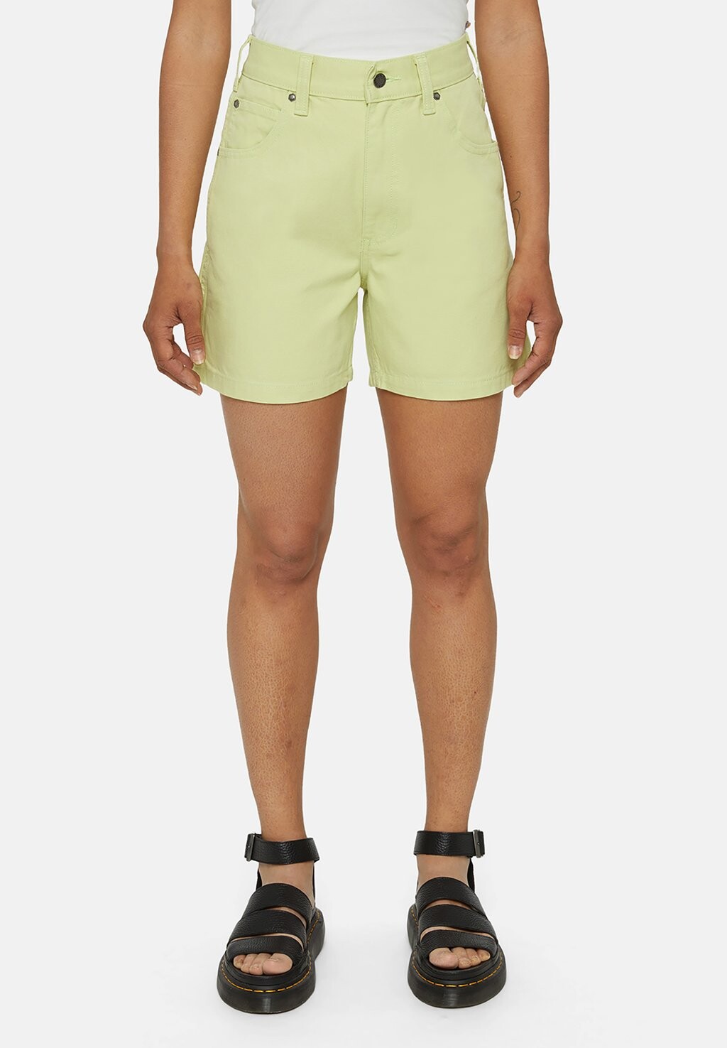 

Шорты DUCK CANVAS CARPENTER W Dickies, цвет sw pale green