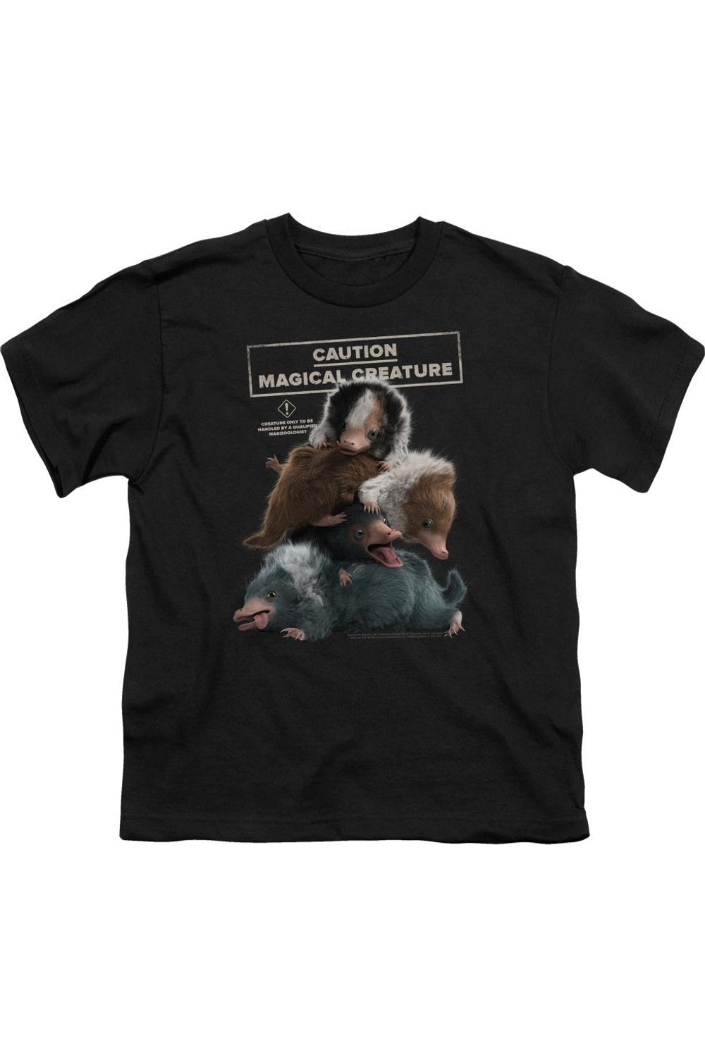

Футболка с коротким рукавом для детей "Волшебные твари 2: Груда объятий" Gildan, черный