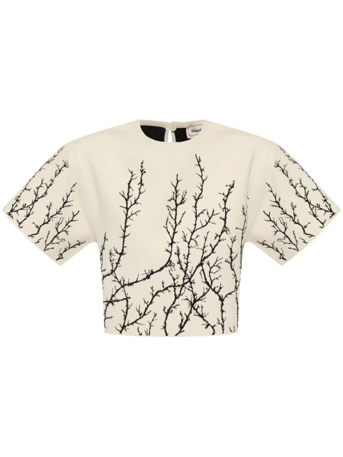 

Alexander McQueen ветви терновника сверху, нейтральный цвет
