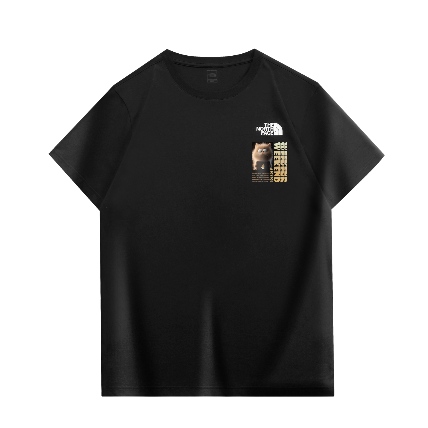 

Футболка унисекс черная THE NORTH FACE
