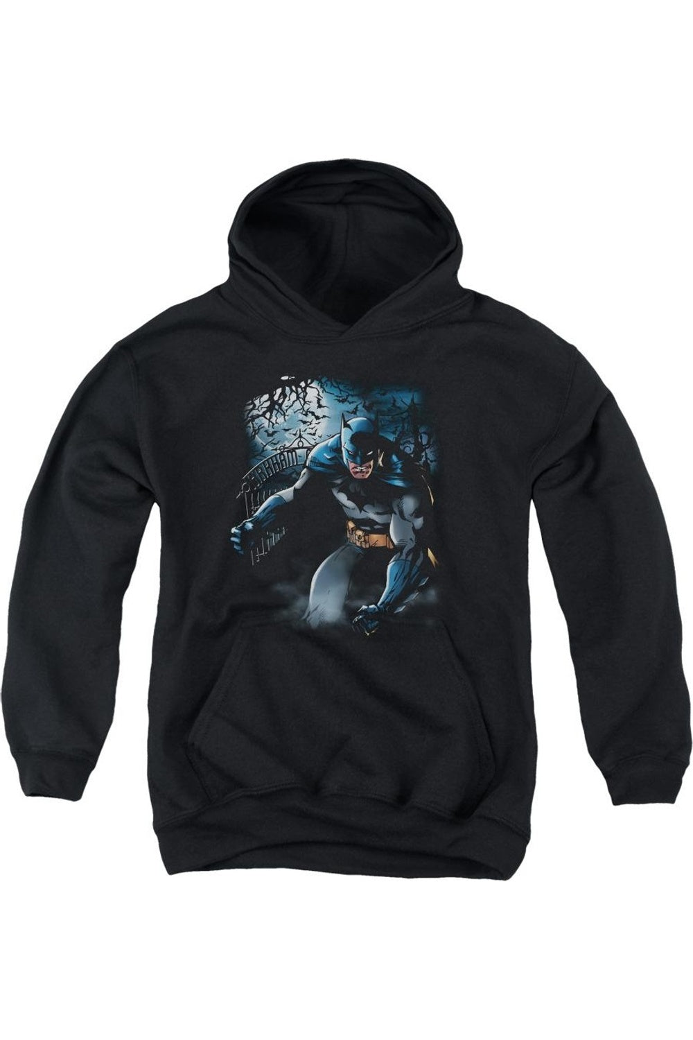 

Батмен Лайт оф зе Мун худи для детей Gildan, черный