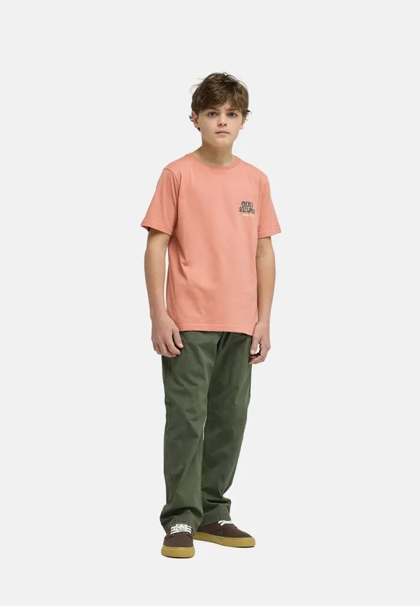 Футболка с принтом fruits tide ss (bga0) Quiksilver, Mkt0