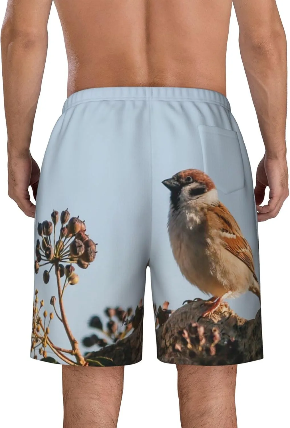 Мужские пляжные шорты Bird Sparrow, мужские плавки, пляжные шорты с карманами, купальники Generic, черный — фото 4