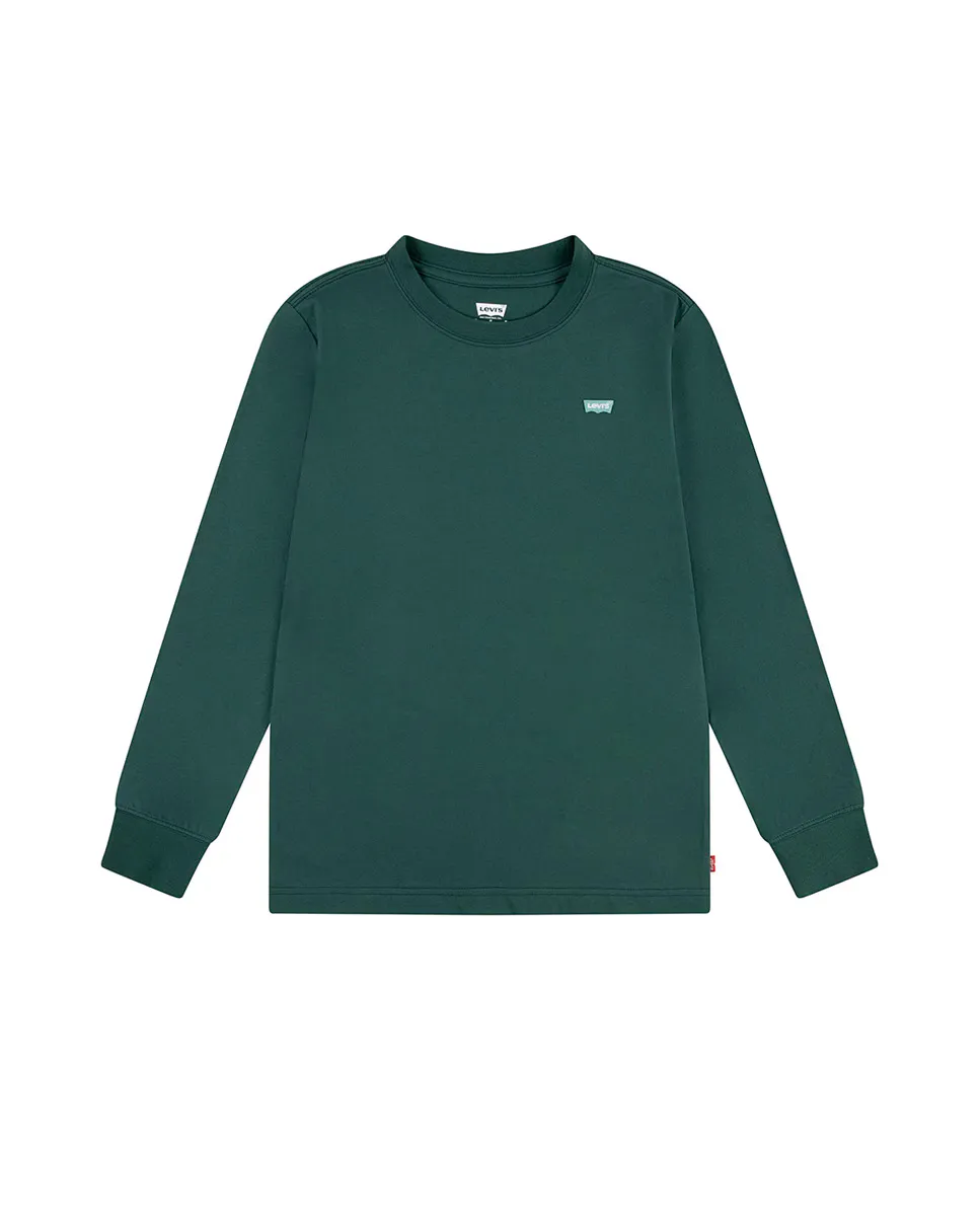 

Футболка с длинным рукавом и маленьким логотипом Batwing Boy's Levi's, зеленый