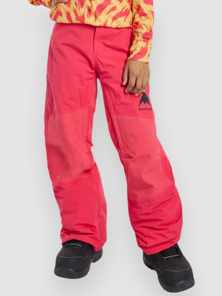 

Штаны для сноуборда Burton Skylar Kids Hose, azalea pink, Розовый, Штаны для сноуборда Burton Skylar Kids Hose, azalea pink