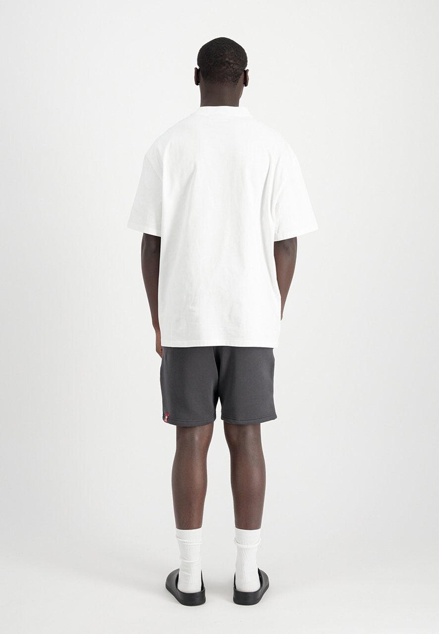 

Спортивные брюки Alpha Industries, темно-серый