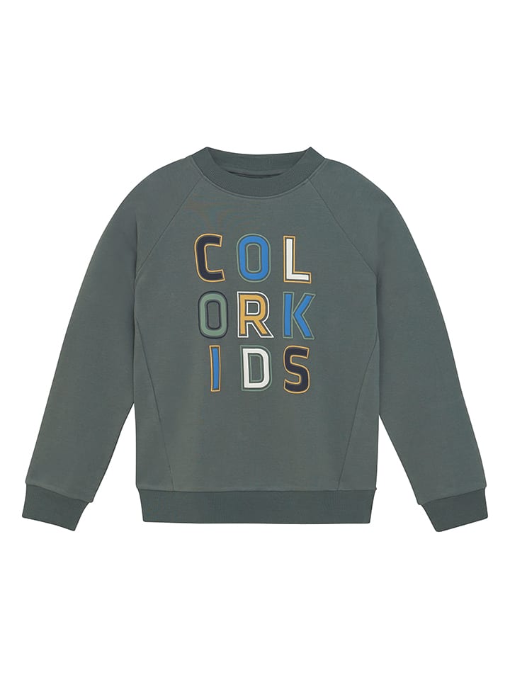 

Color Kids Серая толстовка