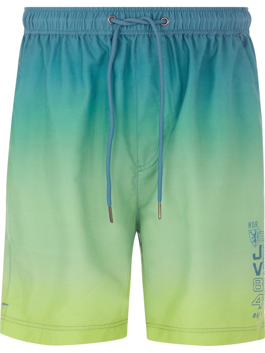 

Шорты для серфинга Jan Vanderstorm Werenfried, цвет Blue/Green