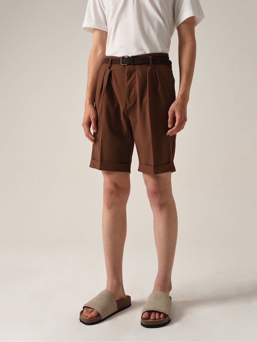 

Свободные брюки со складками спереди Antioch, коричневый