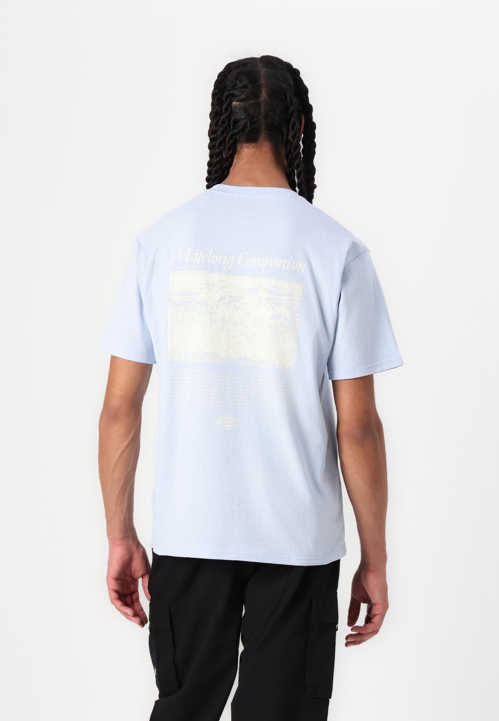 

Футболка с принтом COMPANION SCRIPT TEE Dickies, светло-голубой
