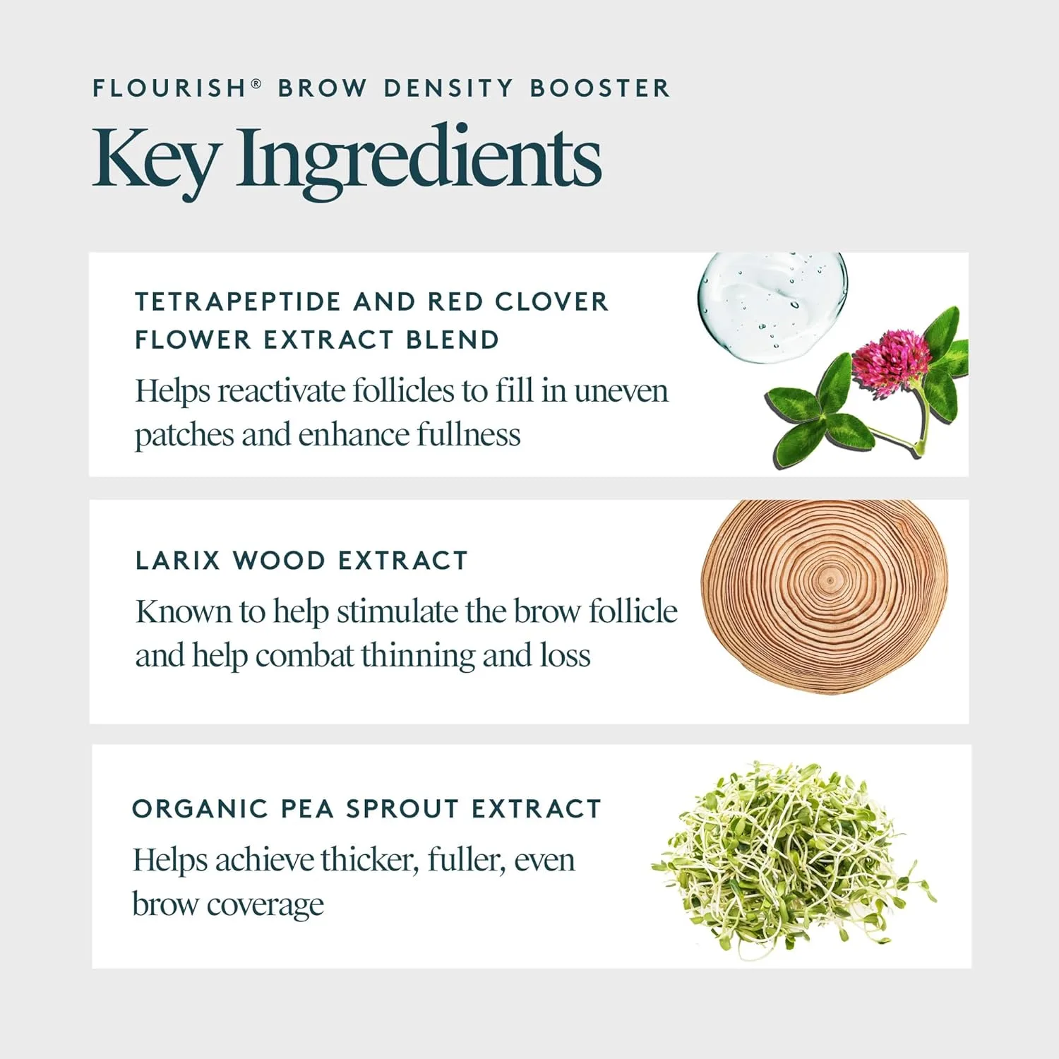Средство для увеличения густоты бровей Virtue Flourish Brow Density Booster Treatment с кератином для более густых бровей — фото 3