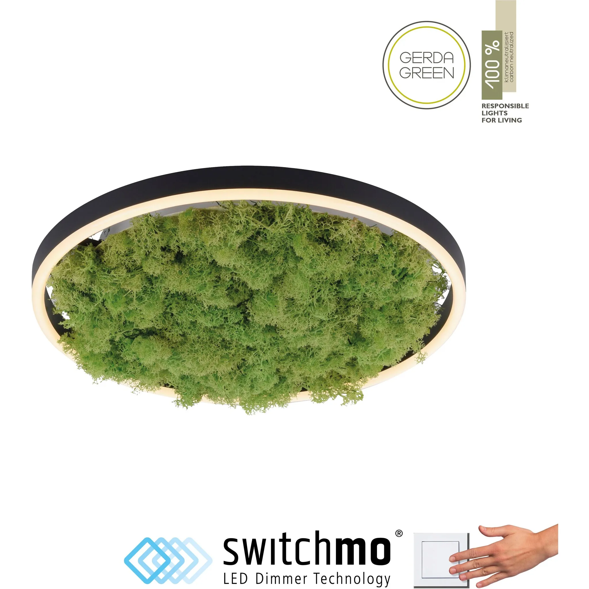 

JUST LIGHT Потолочный светильник «GREEN RITU», 1 лампочка, источник света Светодиодная панель | Светодиод прочно интегрирован, цвет moos