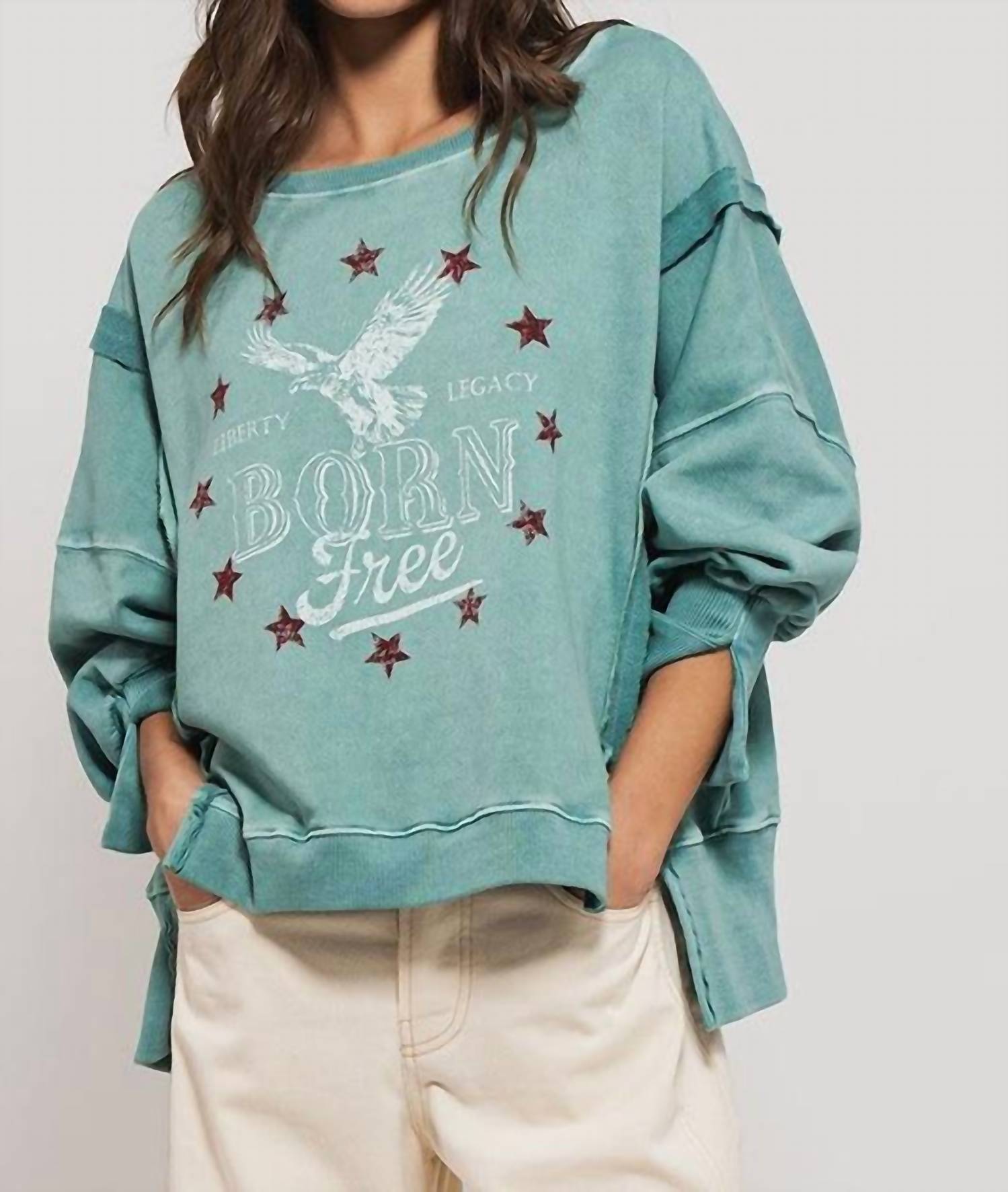 

Графическая толстовка Americana Born Free в серо-бирюзовом цвете Trend:notes