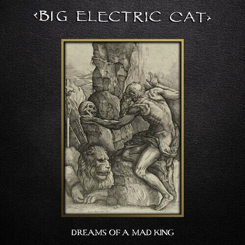 

Виниловая пластинка Big Electric Cat - Dreams Of A Mad King - Gold/Black Splatter