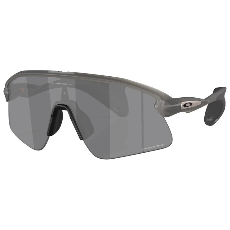 

Солнцезащитные очки Stunt Devil Grey Smoke Prizm Black Oakley