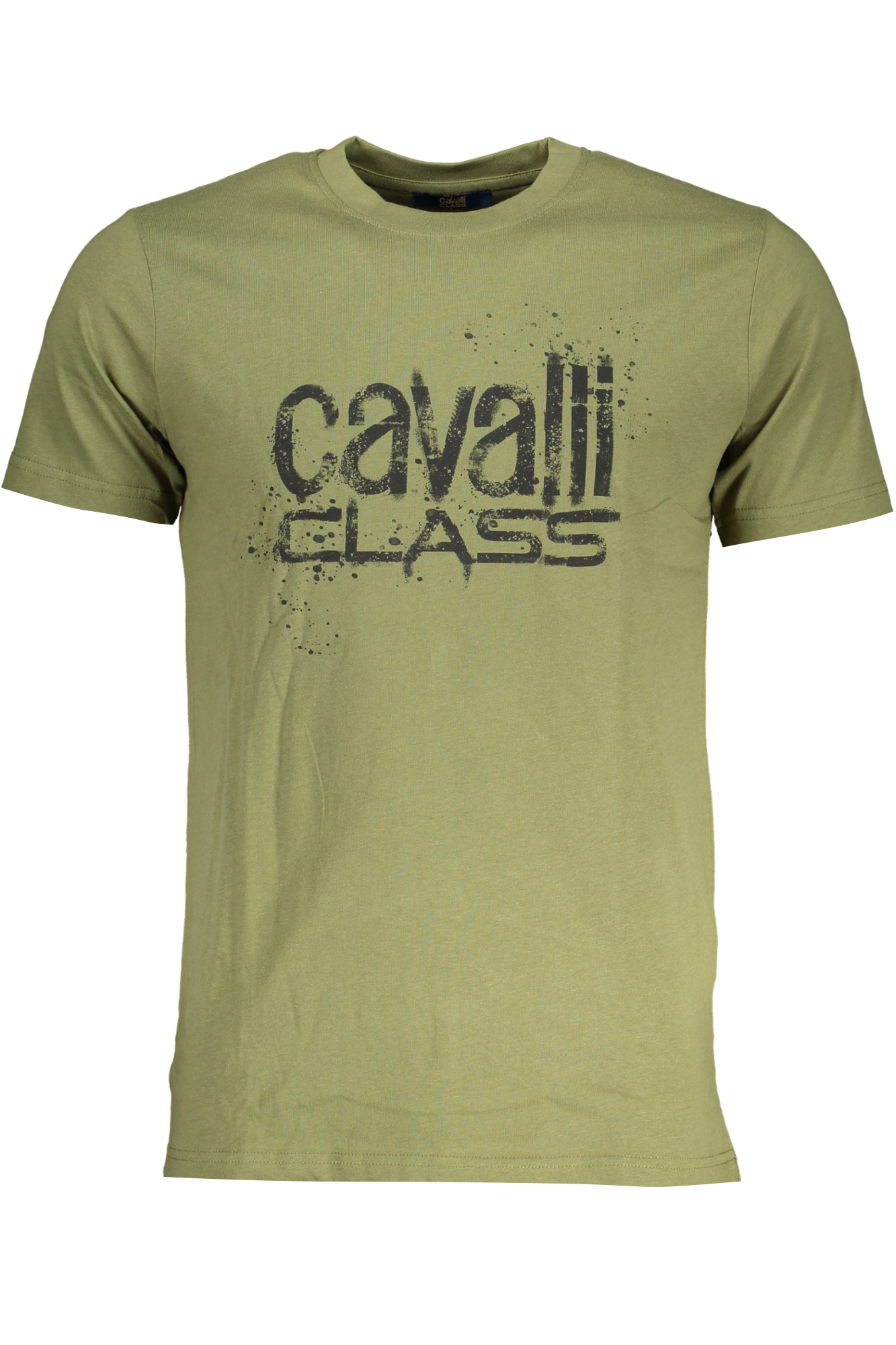 

Мужская футболка Cavalli Class хлопковая с логотипом, зеленый