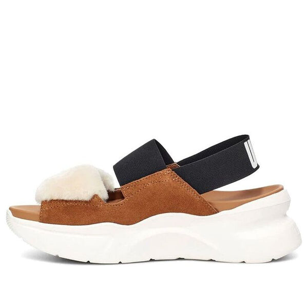 Сандалии other sports sandals 'chestnut brown black white' Ugg, мультиколор