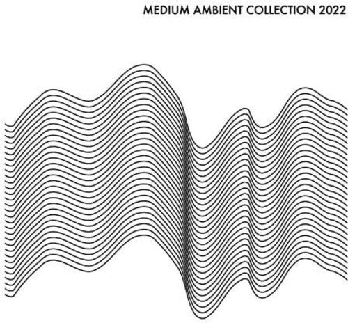 

Виниловая пластинка Medium Ambient Collection 2022 White / Various: Medium Ambient Collection 2022 White / Various