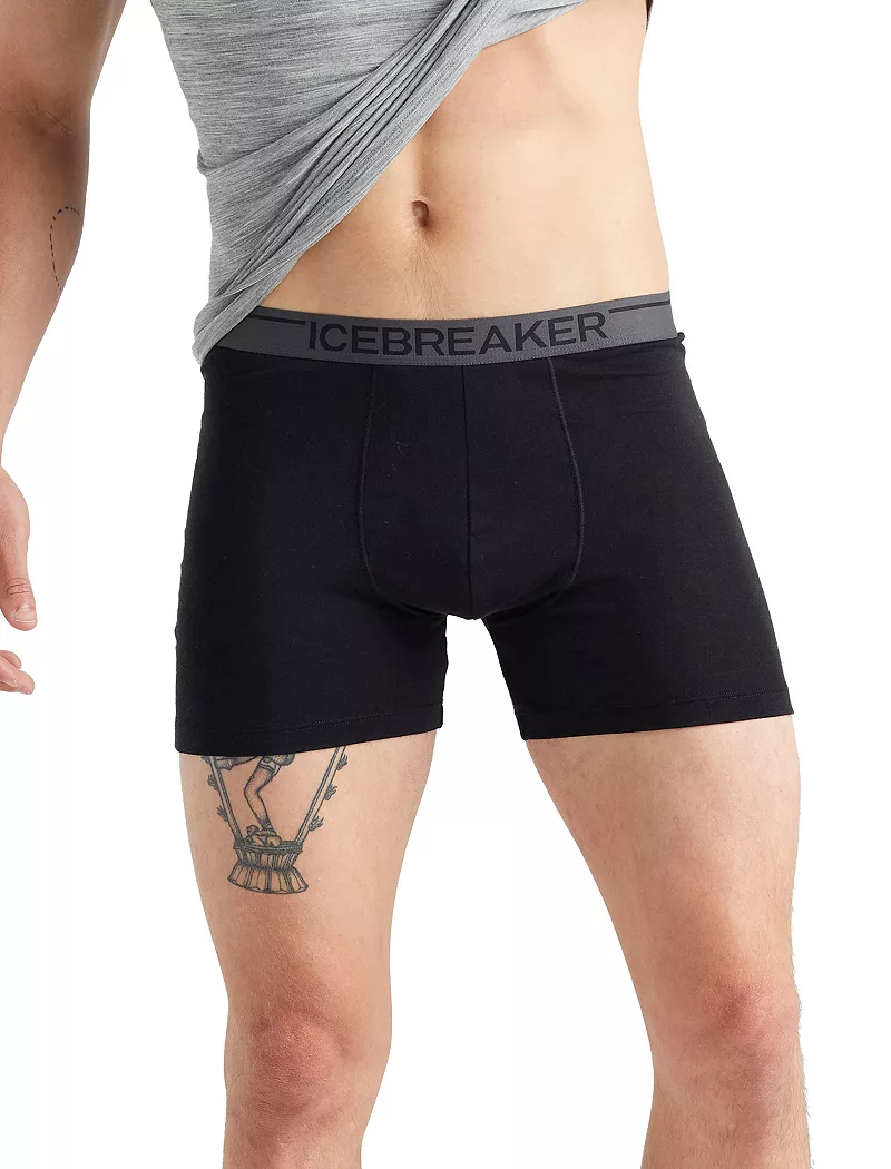 

Мужские боксеры Icebreaker Anatomica, черный