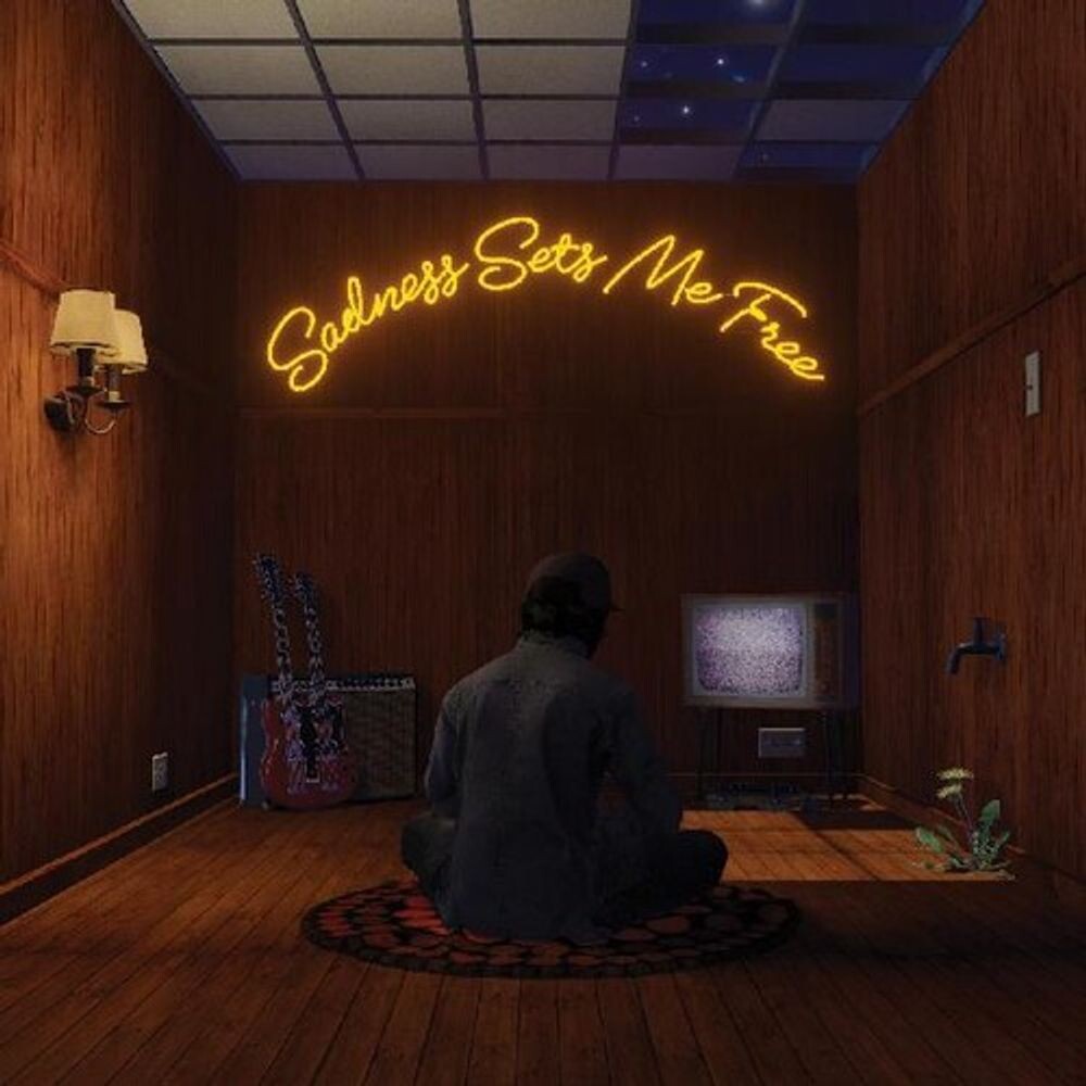 

Виниловая пластинка LP Sadness Sets Me Free [Blackberry Color Vinyl] - Gruff Rhys