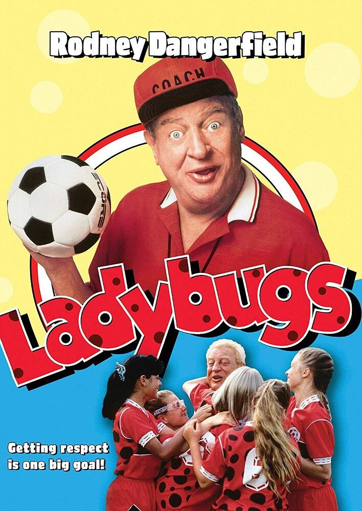 

Диск DVD Ladybugs