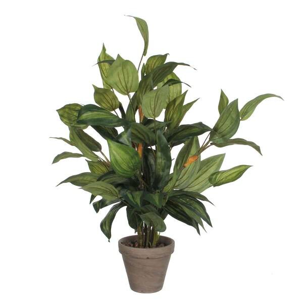 

Декоративное растение Mica Decorations Hosta, зеленый