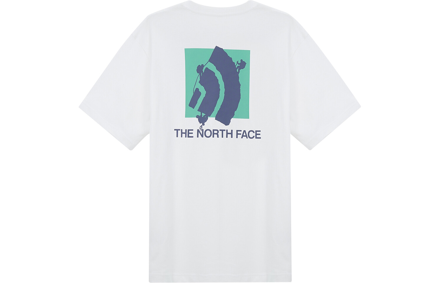 

Футболка мужская белая The North Face, белый