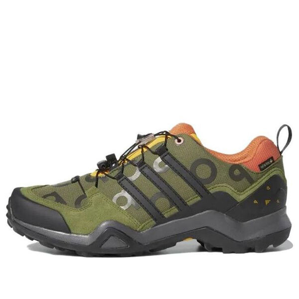 

Кроссовки pop terrex swift r2 gore-tex x trading company 'wild pine' Adidas, мультиколор