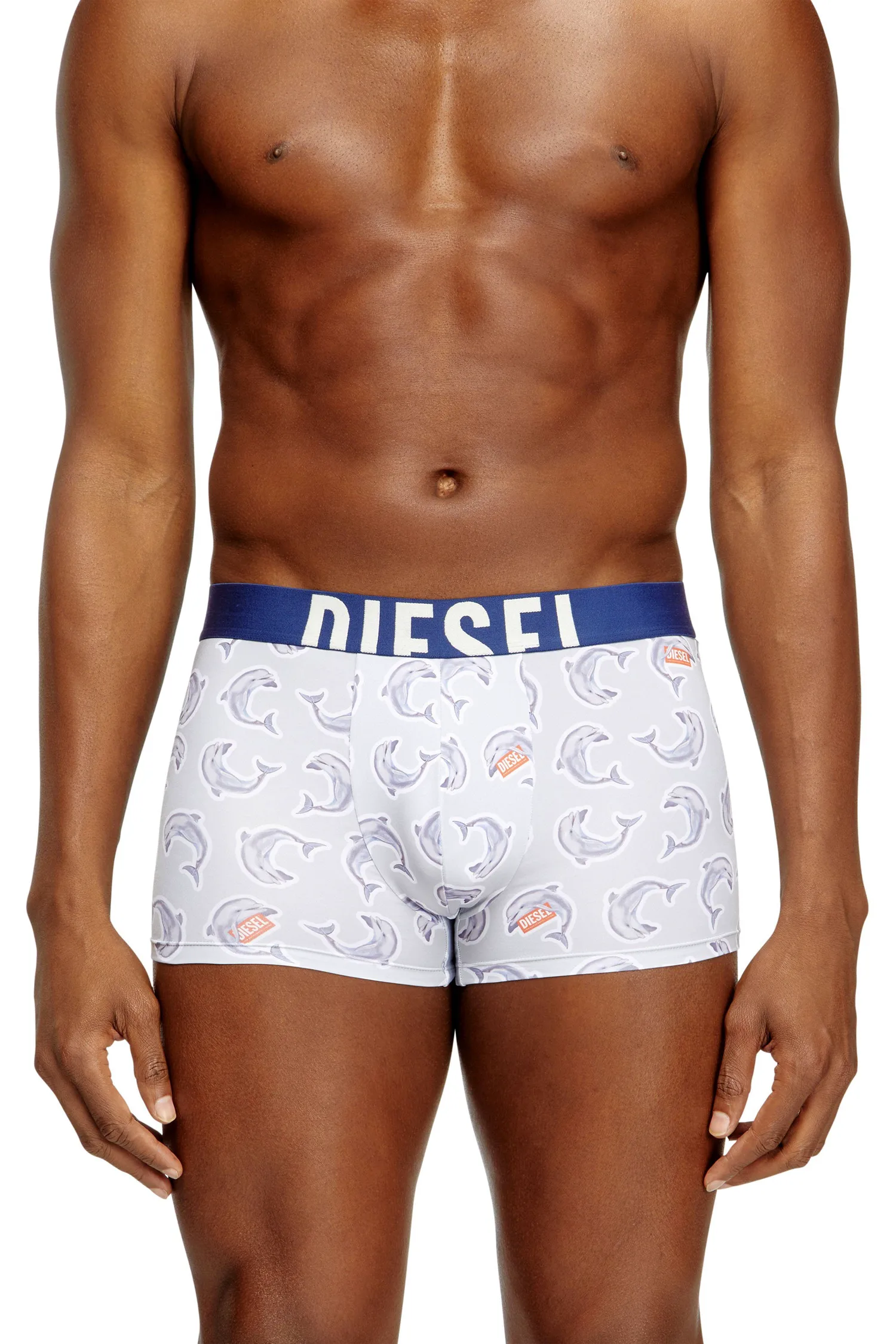 Мужские боксерские шорты DAMIEN-D-POP-40 Diesel, Blue and other shades