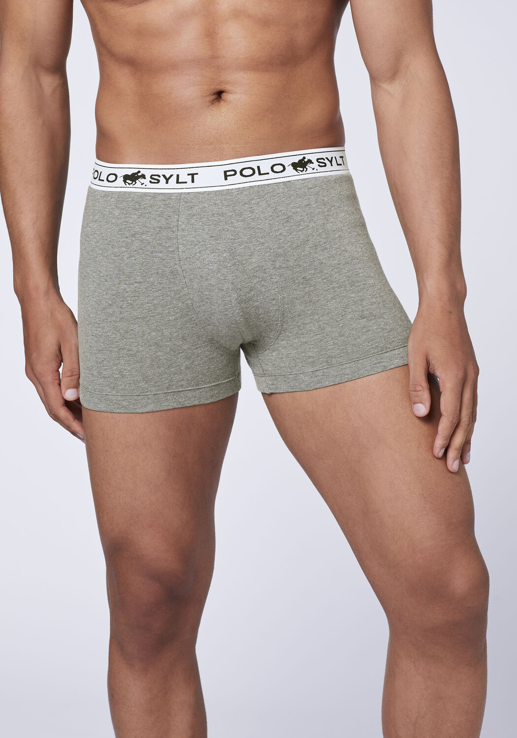 

Боксеры Polo Sylt Boxershorts, серый