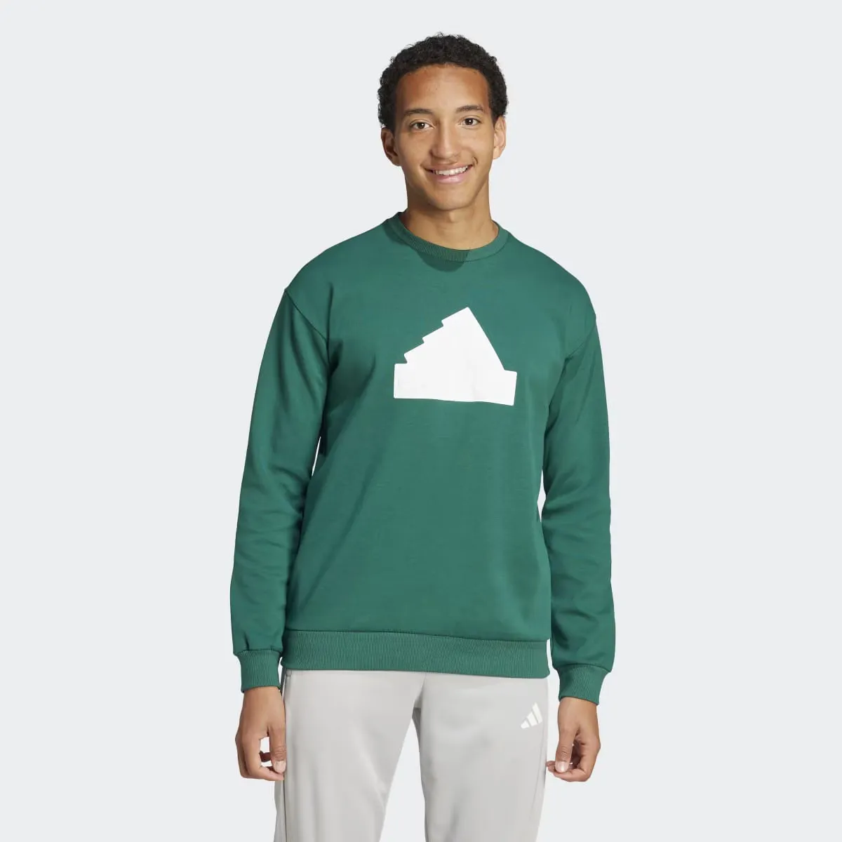 

Мужская толстовка Adidas Future Icons Badge of Sport, зеленый