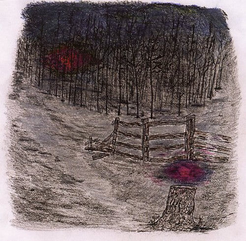 

CD диск Telepathe: Farewell Forest