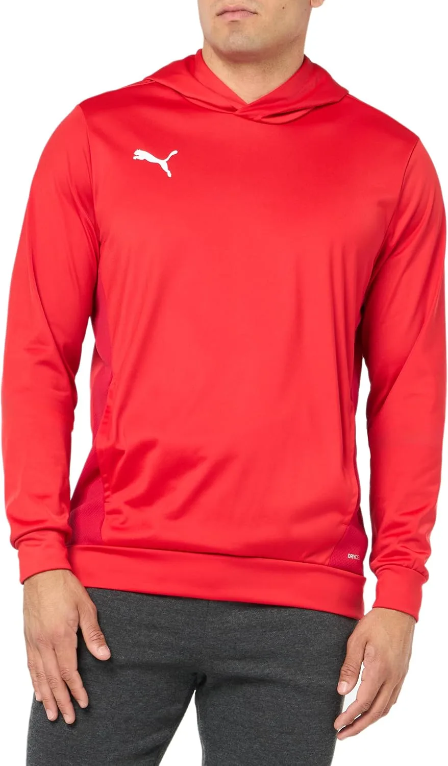 

Толстовка Teamgoal для тренировок PUMA