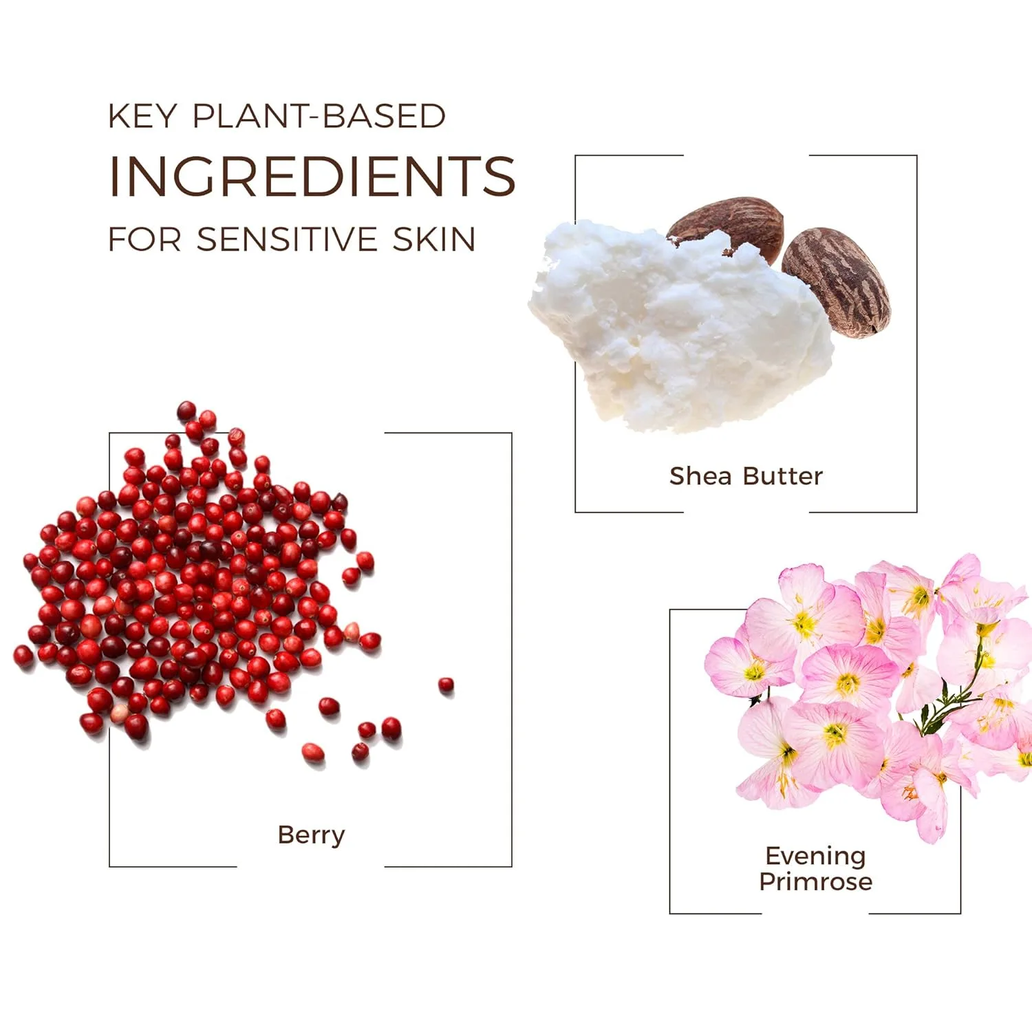 Babo Botanicals Smoothing Berry 2-in-1 шампунь и гель для душа - распутывает и питает, устраняет пушистость и предотвращает статику - масло примулы вечерней - для всех возрастов - легкий ягодный аромат - Vegan 907.20 г (.) — фото 4