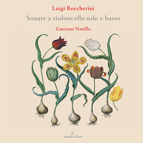 

CD диск Boccherini / Nasillo: Flute Concertos