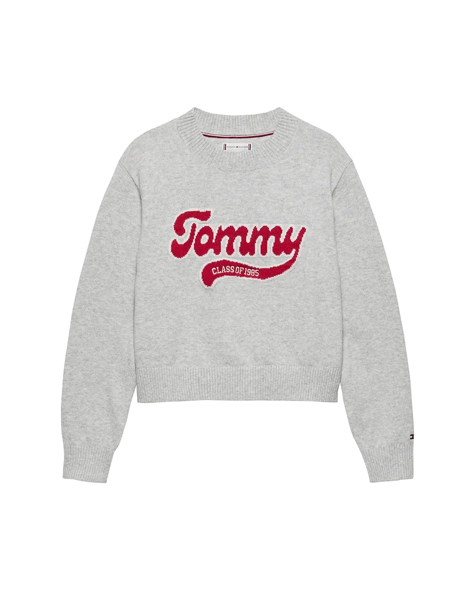 

Свитер для маленькой девочки с круглым вырезом и логотипом Varsity Tommy Hilfiger, светло-серый