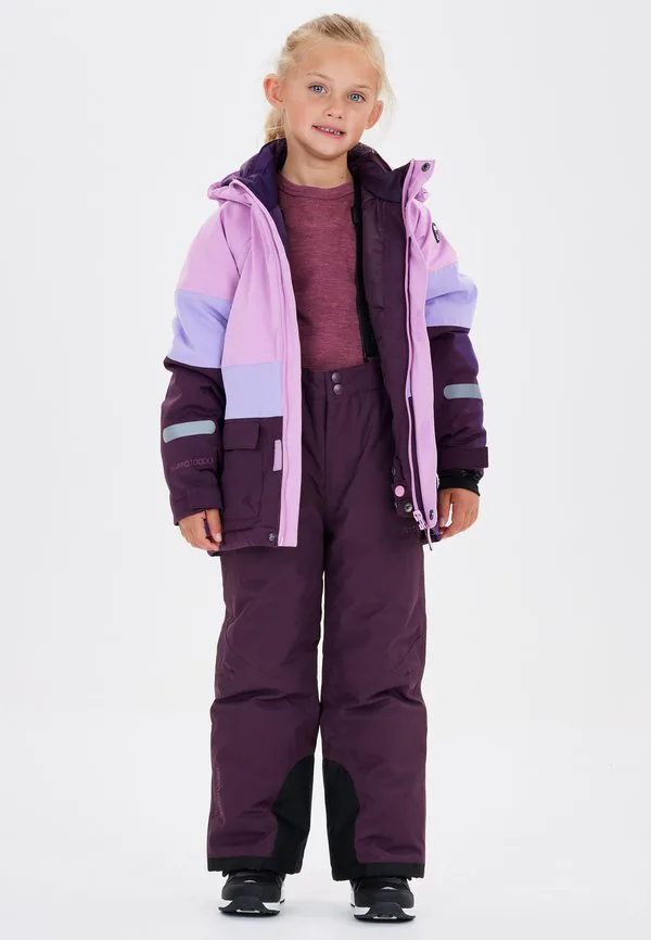 Снежные штаны прово Zigzag, Purple Pennant