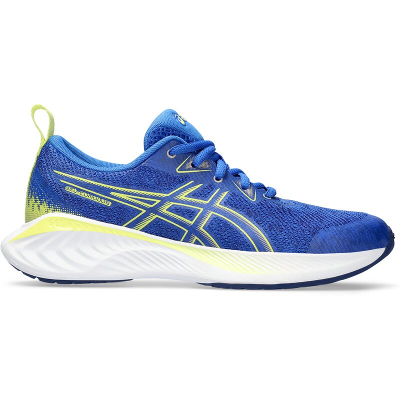 

Кроссовки гель-кумулус 25 г Asics, мультиколор