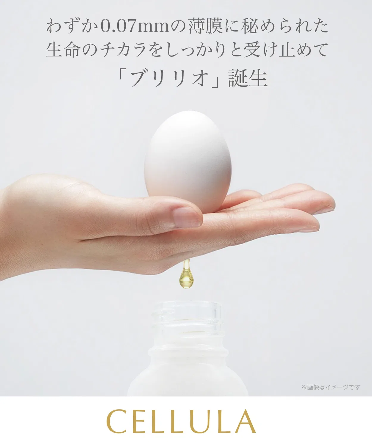 Сыворотка Beauty Connect — Осветляющая Cherlar White Bright Serum , прозрачно-жёлтая, 15 мл — фото 2