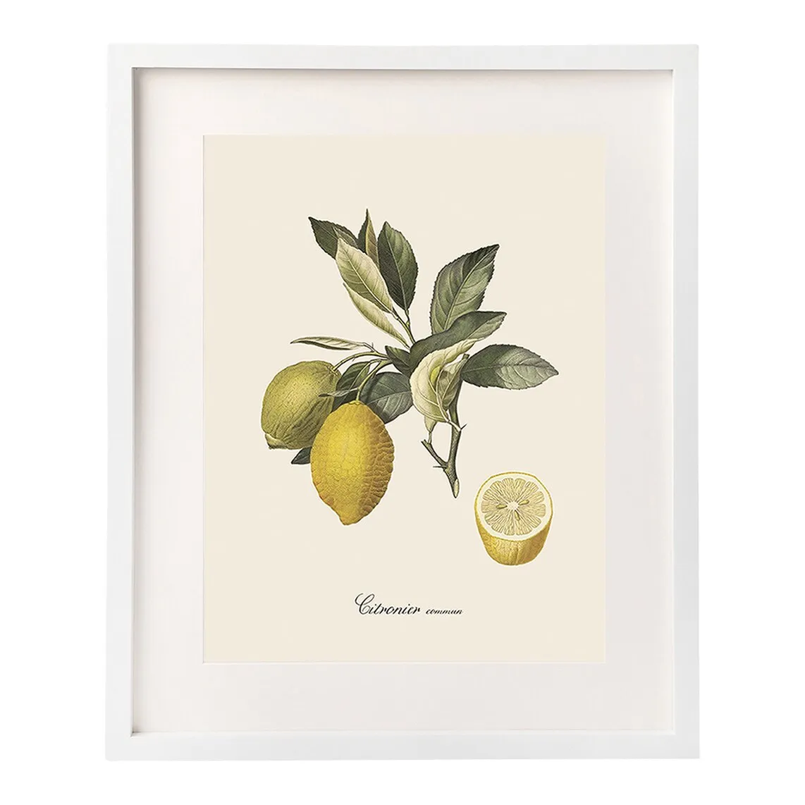 

Набор листов Dybahl Lemons + Marco Thor El Corte Inglés, белый