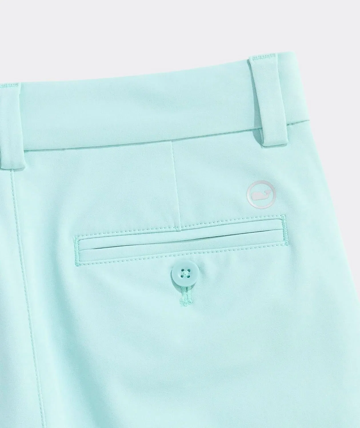 Детские спортивные шорты Vineyard Vines для мальчиков, Aqua Haze — фото 4