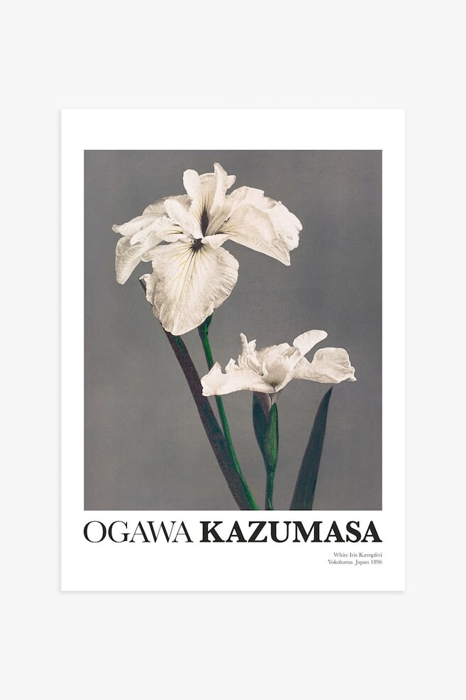 

Плакат «белые ирисы» от казумасы Postery, 70x100 см, белый