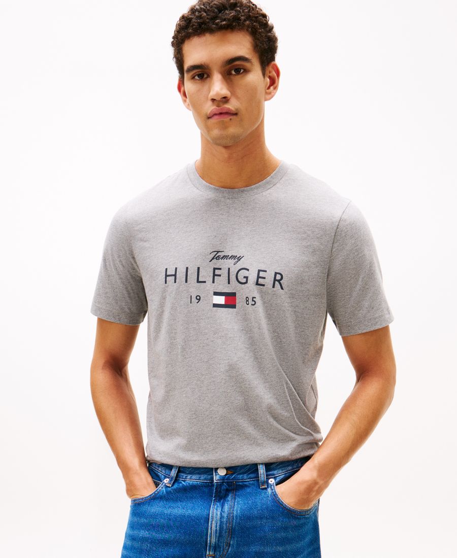 

Мужская футболка с круглым вырезом Tommy Hilfiger, Medium Greay Heather