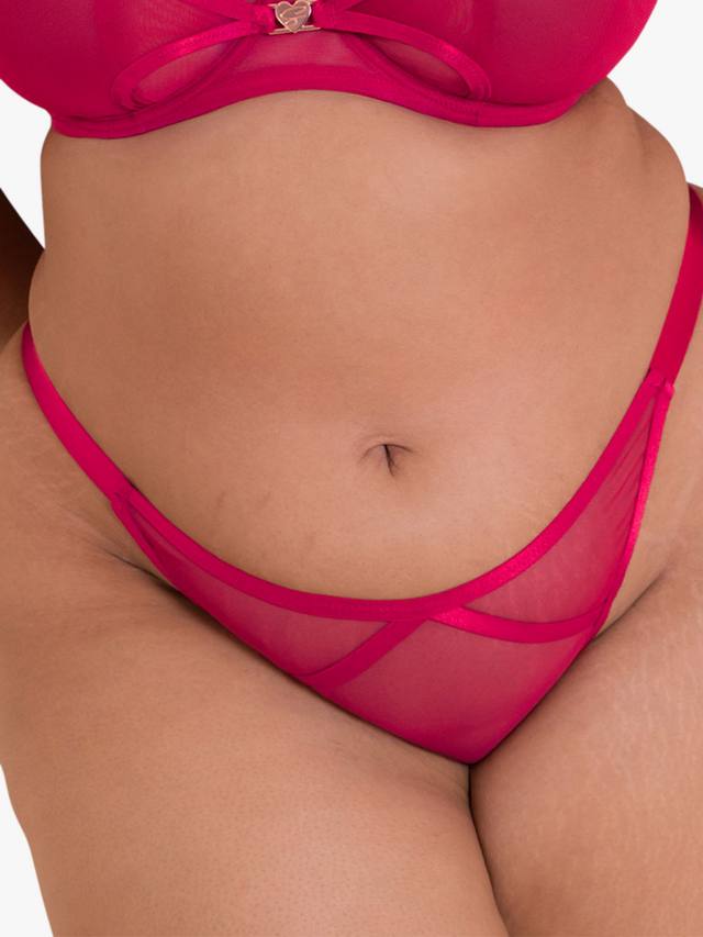 

Любимые бразильские трусики Curvy Kate, Crimson