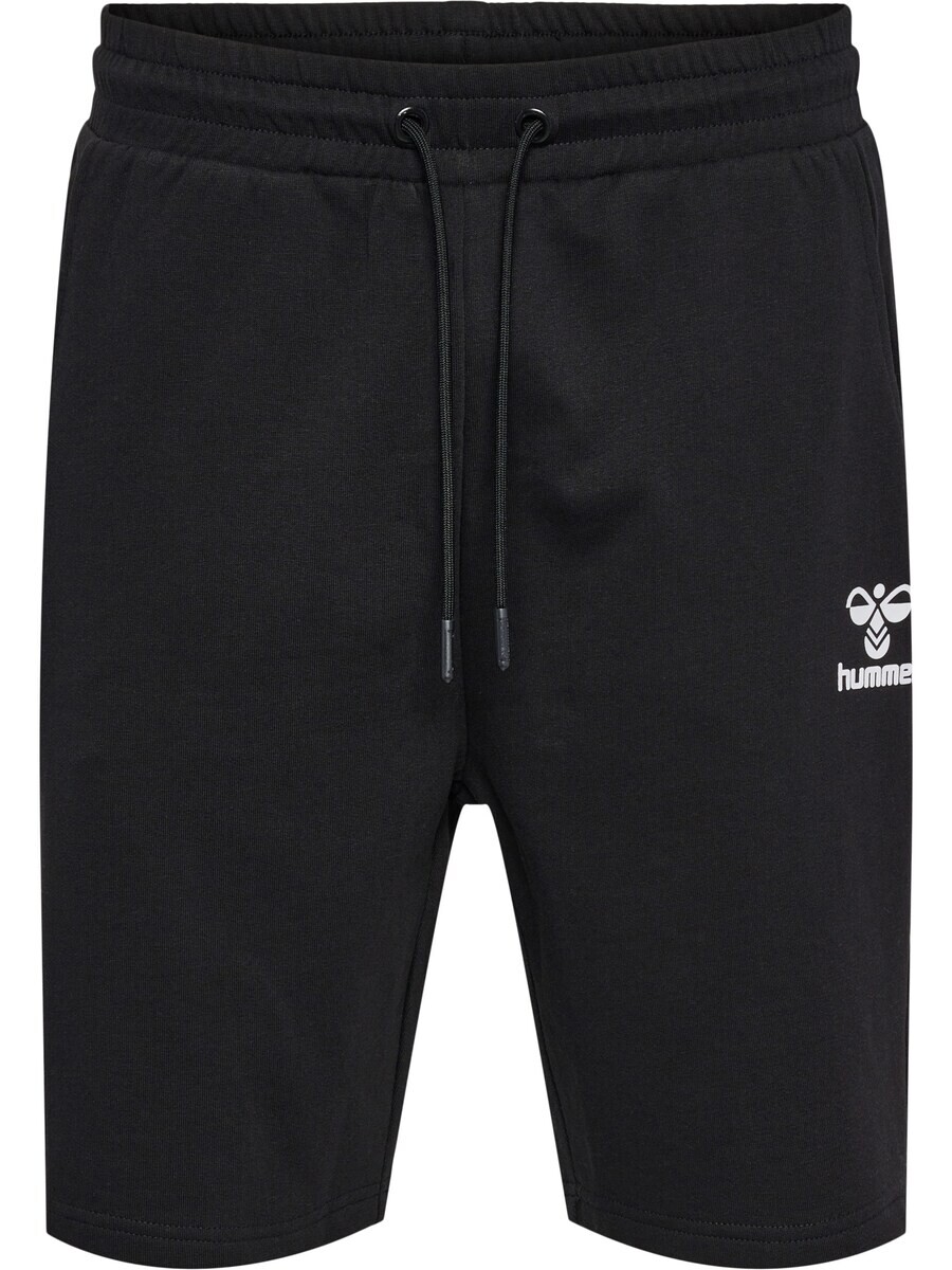 

Спортивные шорты Hummel Regular Pants, черный