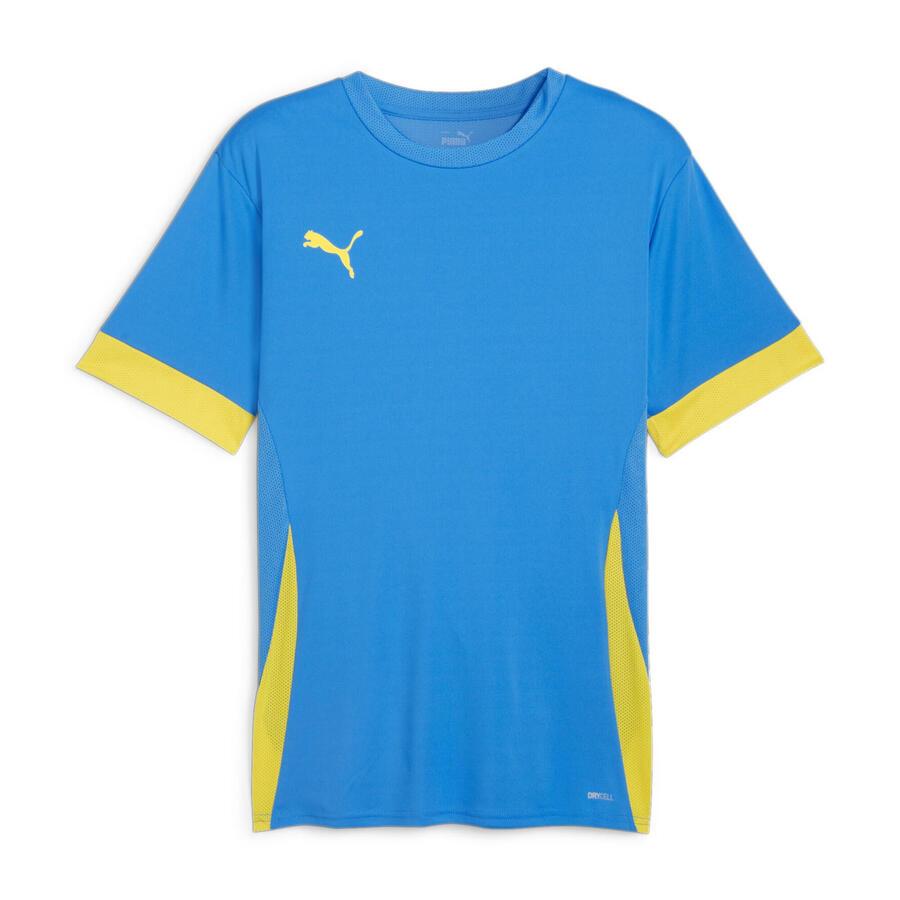 

Мужская футболка Puma teamGOAL Matchday Jersey 705747